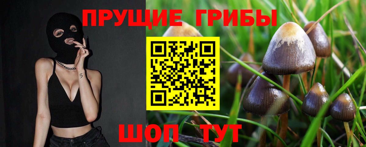 Галлюциногенные грибы GOLDEN TEACHER Урюпинск