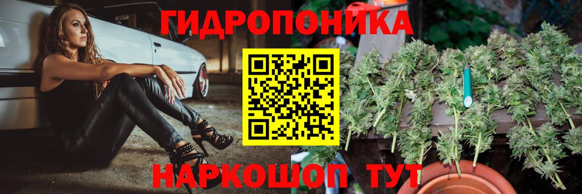 Шишки марихуана Bruce Banner Урюпинск
